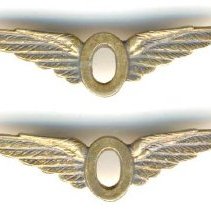 Pin, Military